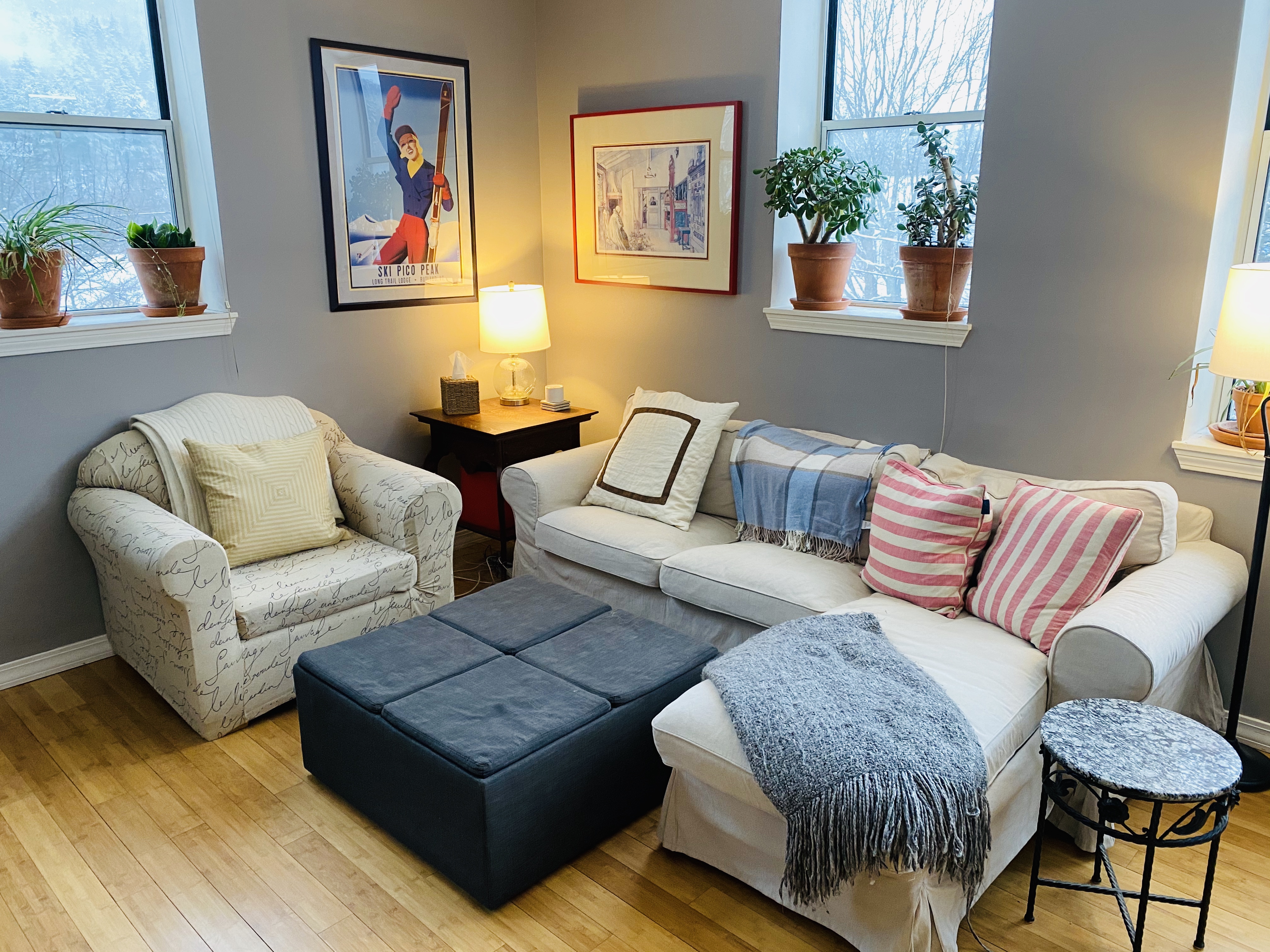 Image of a living room in a shared equity home 